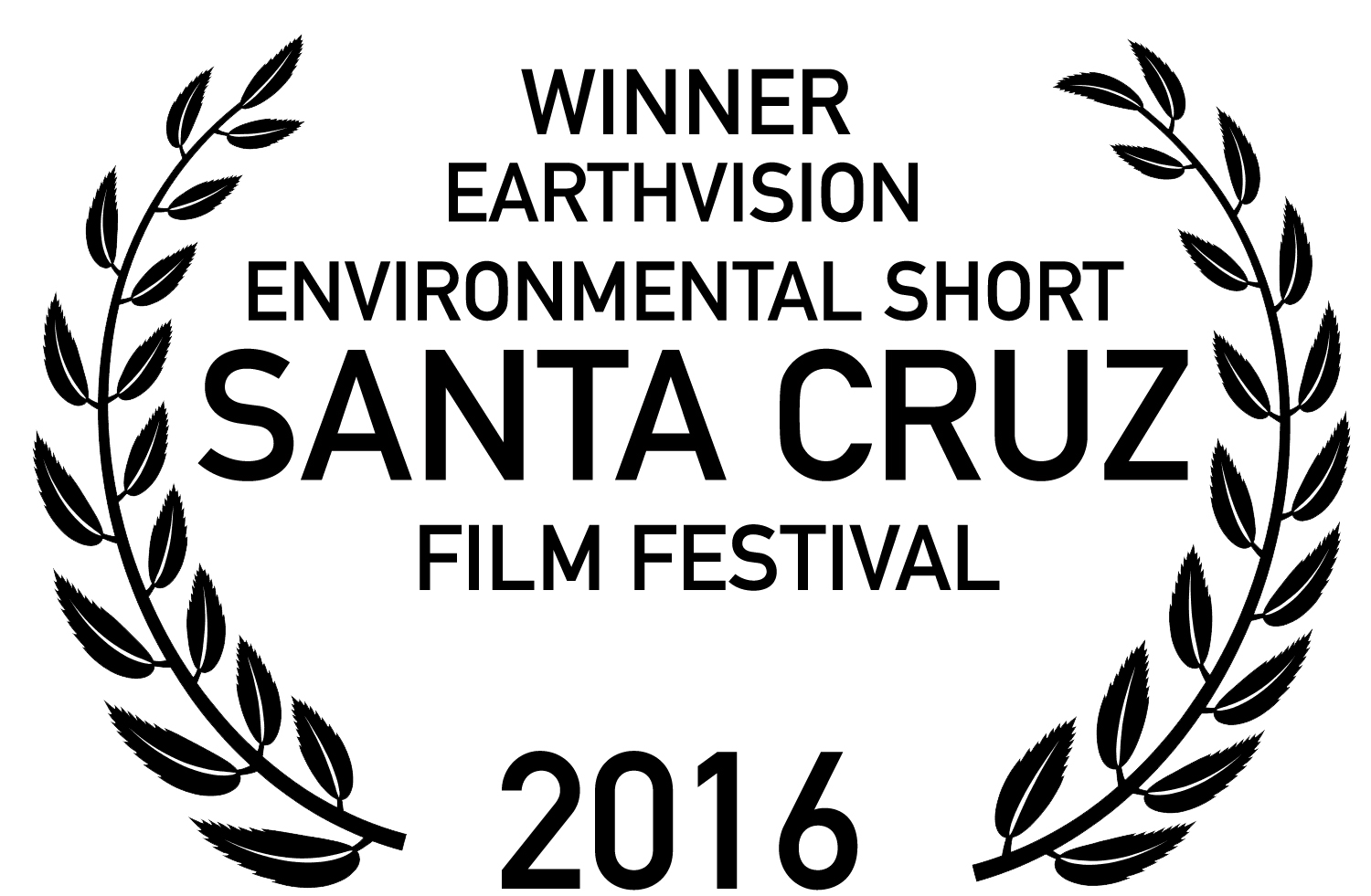 Santa Cruz Film Festival